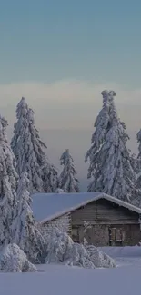 Snowy cabin surrounded by tall, snow-draped trees under a clear sky.