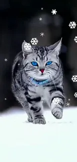 Gray cat with blue eyes in snow, with falling snowflakes.