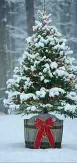 Snow-covered Christmas tree with red bow in wintry forest.