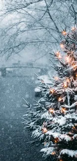 Snow-covered Christmas tree with lights in a winter scene.