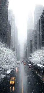 Urban street with snow-covered trees and taxis in winter.