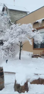 Serene snowy courtyard scene with trees.