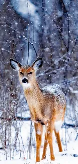 Deer standing in a snowy forest with trees covered in snowflakes.