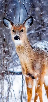 Serene deer standing in snowy winter forest.