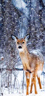 A lone deer stands in a snowy forest setting during winter.