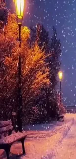 Snowy park evening with glowing streetlights.