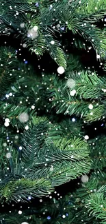 Snow-covered evergreen branches with falling snowflakes.