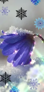 Blue flower in snow with sparkling snowflakes.