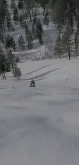 Snowmobile on a snowy forest trail with trees surrounding.