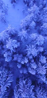 Aerial view of a snowy forest with blue-violet hues, showcasing frosted trees.