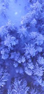 Aerial view of a snowy, frosty forest with cool blue tones.