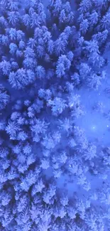 Aerial view of snow-covered forest in icy blue tones.