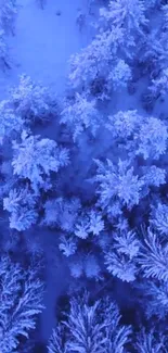 Snowy forest aerial wallpaper with cool blue hues.