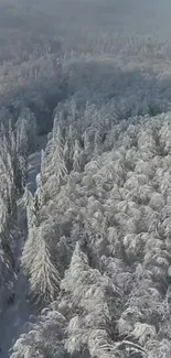 Aerial view of snowy forest landscape.