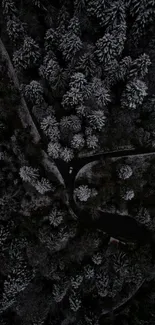 Aerial view of snowy forest with winding roads in winter.