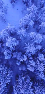 Aerial view of a snow-covered forest in blue tones.