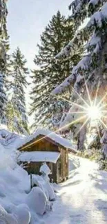 Peaceful snowy forest with sunlit trees and a cozy cabin.