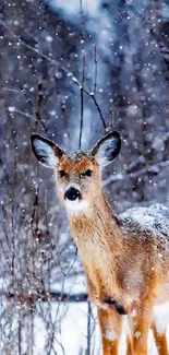 Deer standing in a snowy forest, serene winter scene.