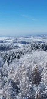 Snowy forest with a clear blue sky, perfect for mobile wallpaper.