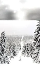 Snow-covered forest with a winter sky, perfect for mobile wallpaper enthusiasts.