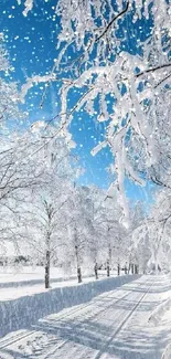 Snowy forest with clear blue sky, perfect for phones.