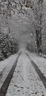 Snow-covered path in winter forest wallpaper.