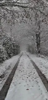 Snow-covered forest path mobile wallpaper.