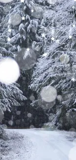 Snowy forest path with frosty trees and soft light.