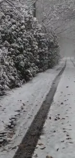 Snow-covered forest path leading into a serene winter landscape.