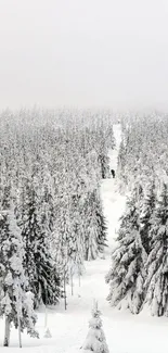 Snowy forest path with towering trees under a cloudy sky.