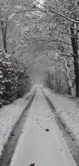 A snowy forest pathway during winter.