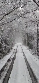 Serene snow-covered forest path under bare trees.