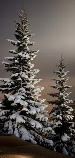 Snowy pine trees in a tranquil forest setting under a brown sky.