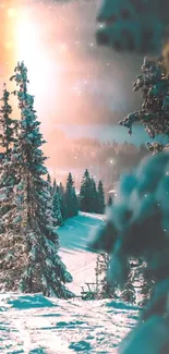 Snowy forest with a beautiful winter sunset, featuring trees and glowing light.