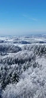 Aerial view of snowy forest under clear blue sky.