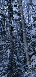 Snowy forest at night with snow-covered trees and twinkling stars.