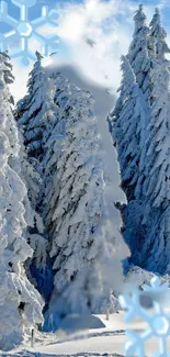 Snow-covered trees with falling snowflakes in a winter forest.