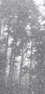 Snowy forest scene with falling snowflakes