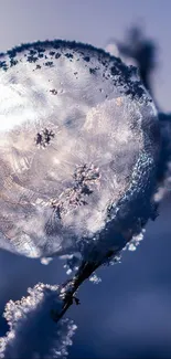 Frozen bubble on snow-laden branch in winter scene.