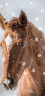 Majestic brown horse in snowy landscape.