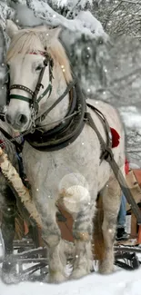 Majestic white horse pulling a sleigh in a snowy forest scene.