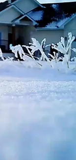 A snowy field with a house under a clear blue sky.