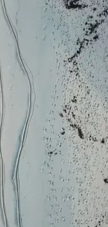 Aerial view of snowy terrain with tire tracks and sparse vegetation.