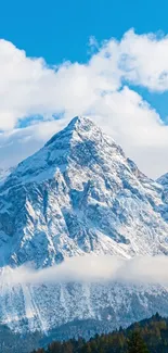 Snowy mountain under a clear blue sky.