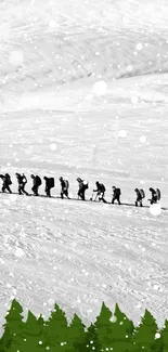 Silhouette of hikers on snowy mountain with green pine trees.