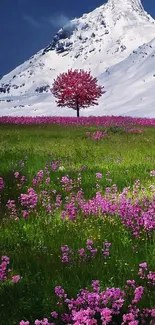 Snowy mountains and pink flower field wallpaper with vibrant green foreground.