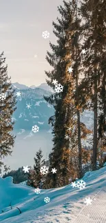 Snowy forest path with mountain and sunset view.