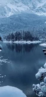 Snowy mountain lake with pine trees in winter.