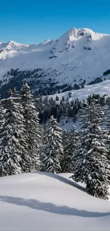 Snow covered mountain landscape with trees.