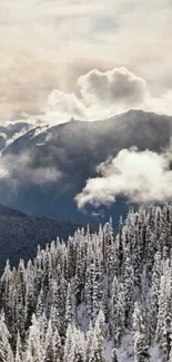 Snowy mountain landscape with clouds and forest.